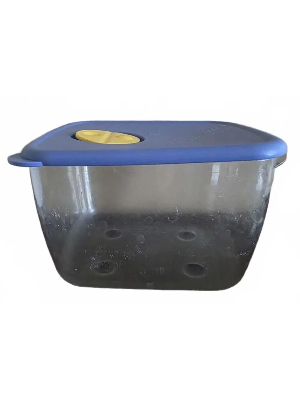 Vintage Tupperware Rock-N-Serve Rectangle Container #3384A